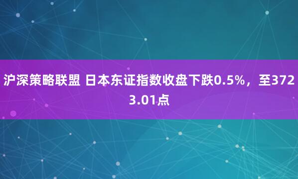 沪深策略联盟 日本东证指数收盘下跌0.5%，至3723.01点