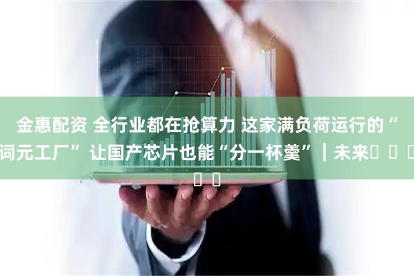 金惠配资 全行业都在抢算力 这家满负荷运行的“词元工厂” 让国产芯片也能“分一杯羹”︱未来・♾️